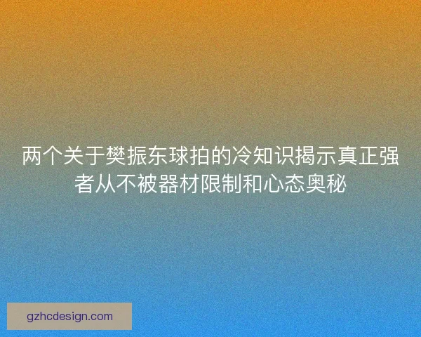 两个关于樊振东球拍的冷知识揭示真正强者从不被器材限制和心态奥秘